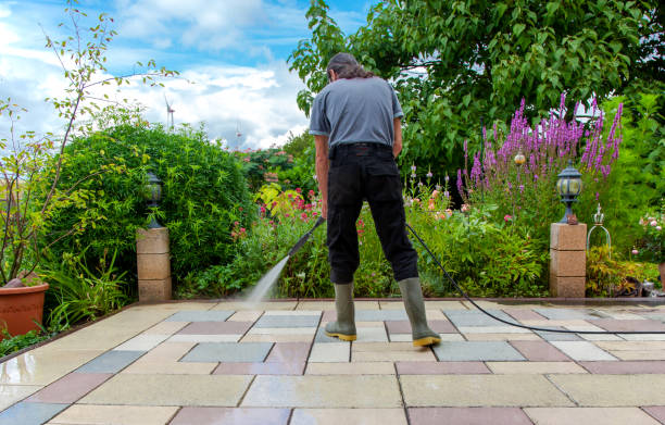 Best Pool Deck Cleaning  in Wyandotte, MI