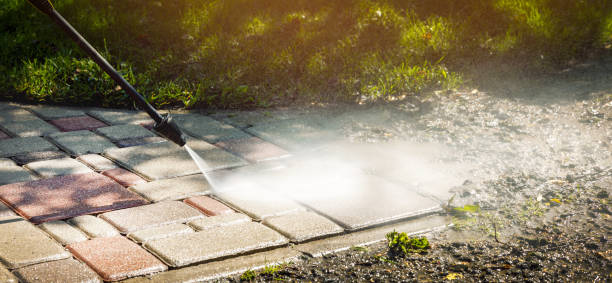 Best Soft Washing  in Wyandotte, MI