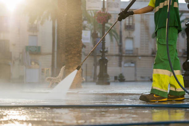 Best Patio and Deck Pressure Washing  in Wyandotte, MI